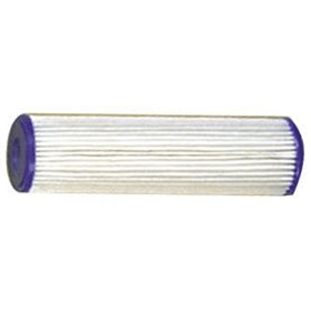 10 inch Reuse Polypleated filter (PPLRE10 30/50)